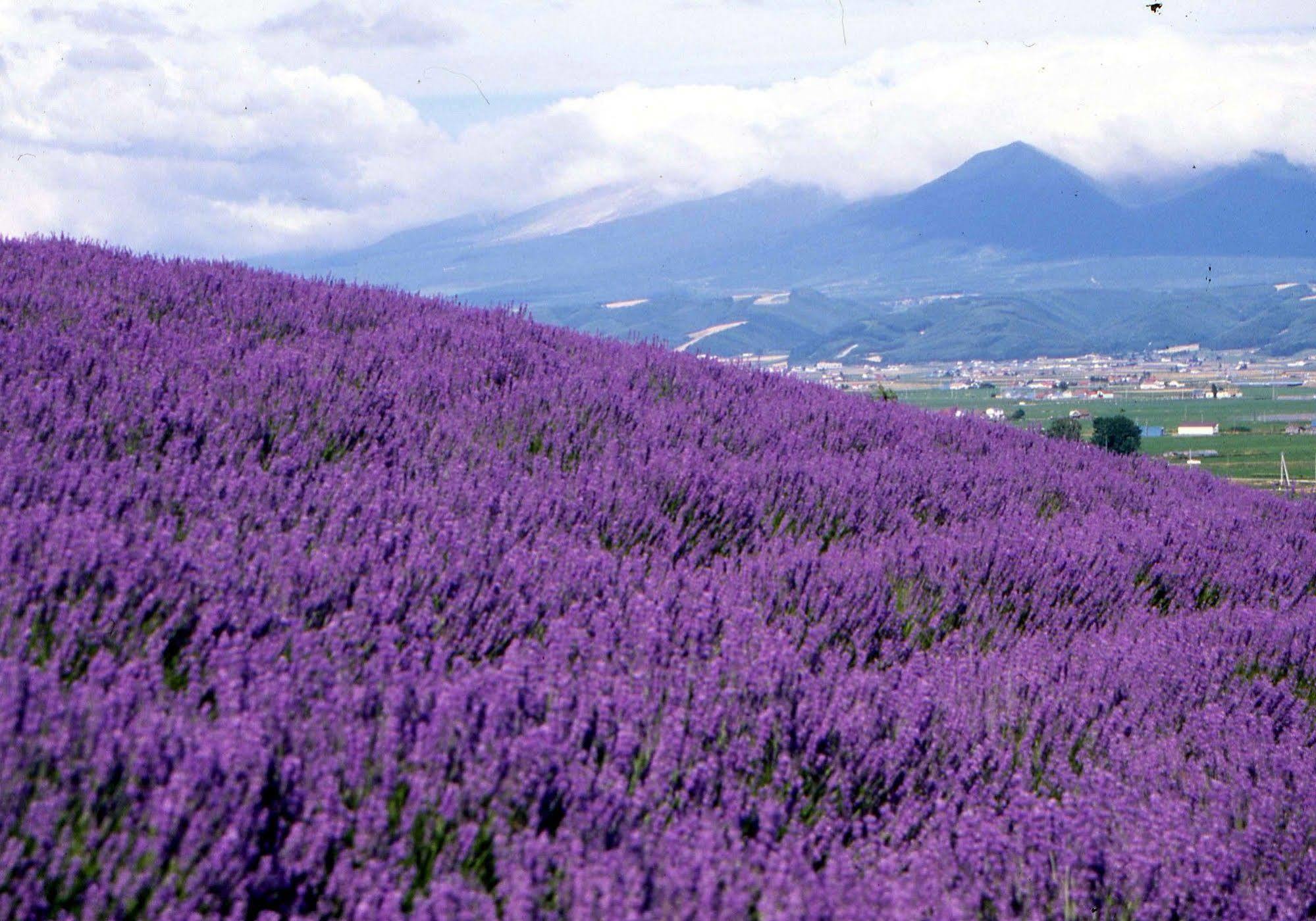 Pension Lavender NakaNakafurano Exterior foto