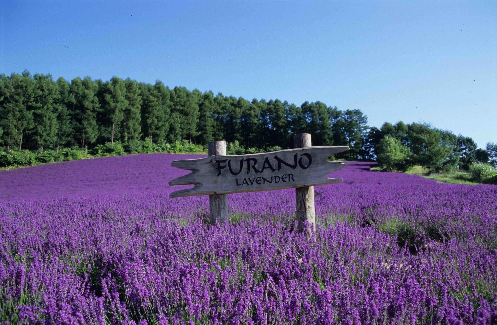 Pension Lavender NakaNakafurano Exterior foto